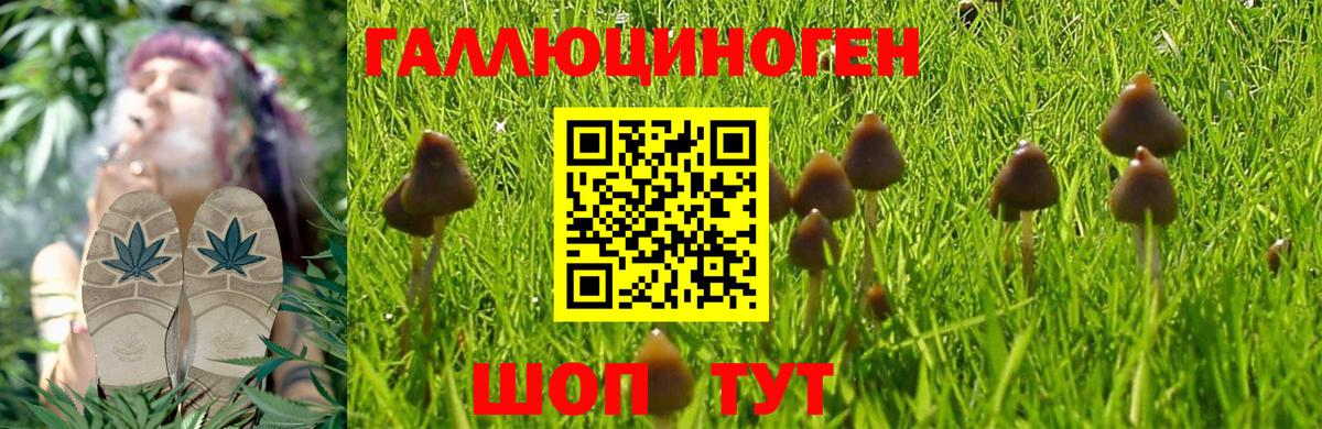Бирск  наркошоп  Вход с VPN  Псилоцибиновые грибы Magic Shrooms  Галлюциногенные грибы ЛСД 